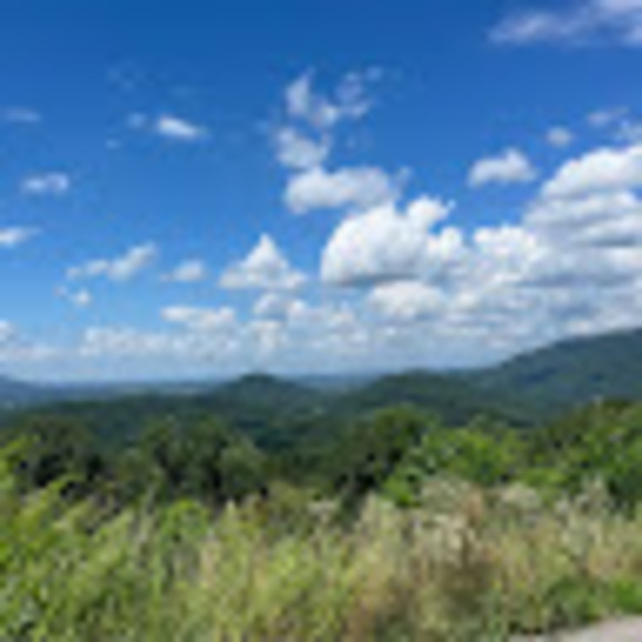 Meet your Posher, Lindsey - Picture 1 of 1